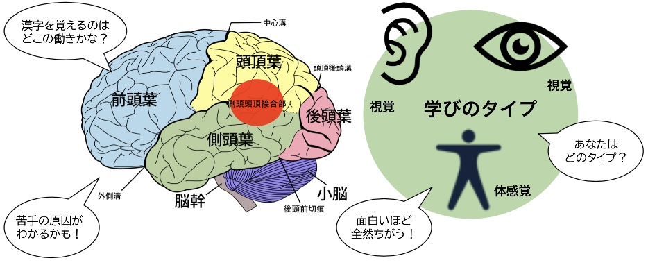 子育て勉強会イメージ2